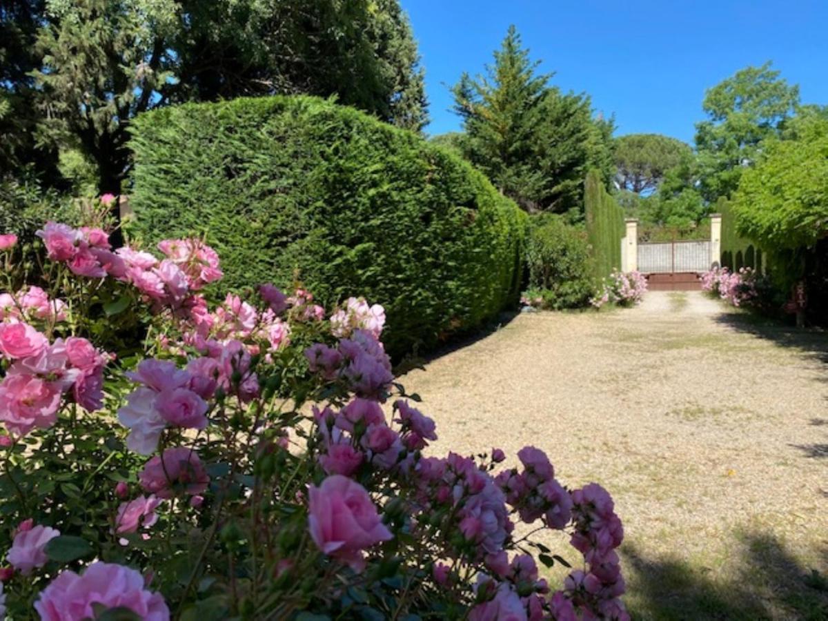 Mas La Pauline Gites De Charme & Roulotte Saint-Rémy-de-Provence Exterior foto