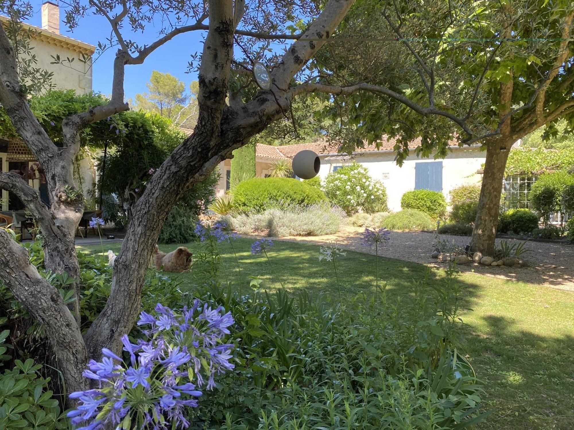 Mas La Pauline Gites De Charme & Roulotte Saint-Rémy-de-Provence Exterior foto