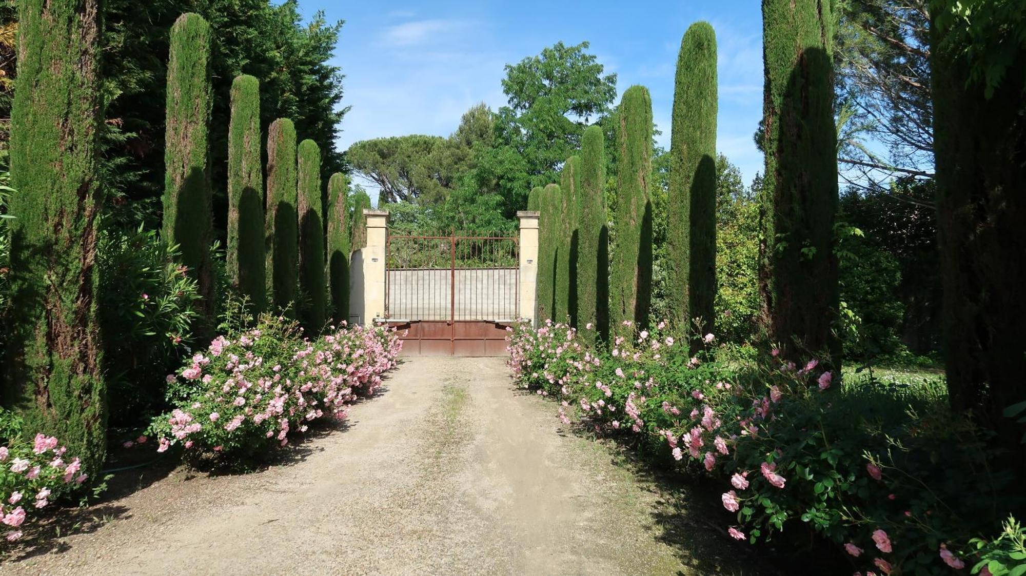 Mas La Pauline Gites De Charme & Roulotte Saint-Rémy-de-Provence Exterior foto